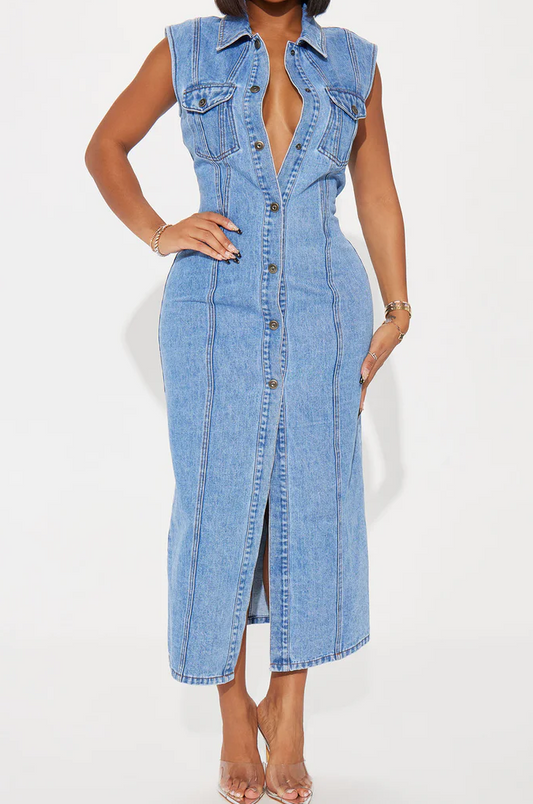 Tallahassee Denim Maxi Dress